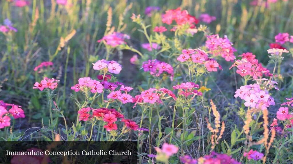 Immaculate Conception Catholic Church - Industry (Texas)