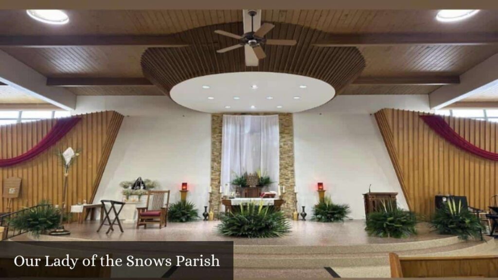 Our Lady of the Snows Parish - Chicago (Illinois)