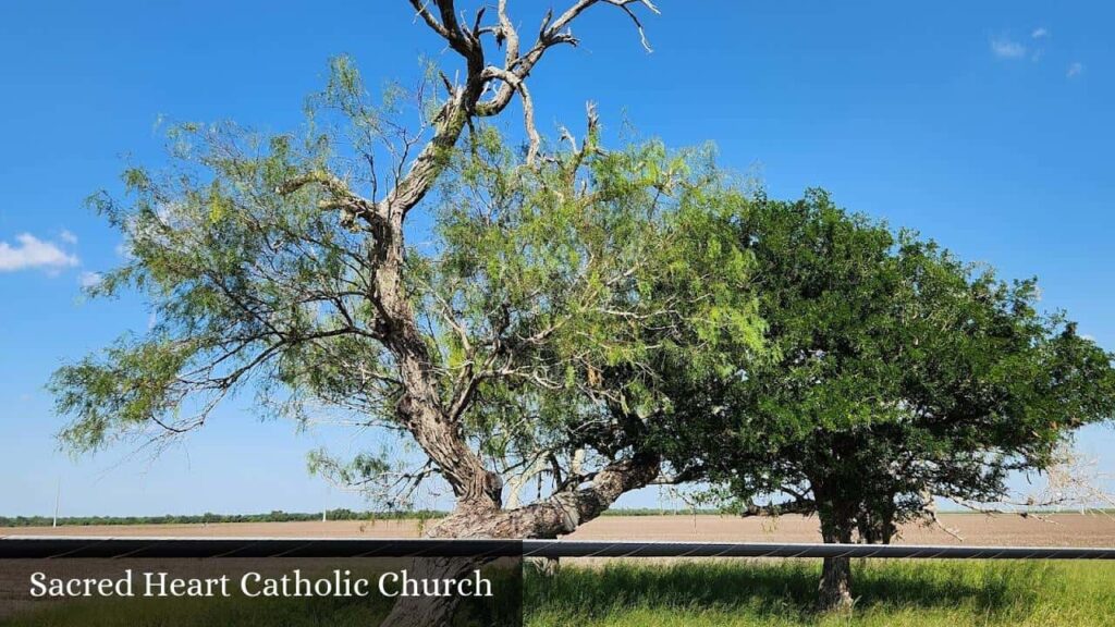 Sacred Heart Catholic Church - San Benito (Texas)