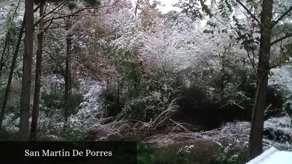 San Martin De Porres - Corrigan (Texas)