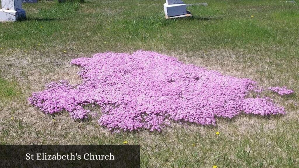 St Elizabeth's Church - Elizabeth (Minnesota)