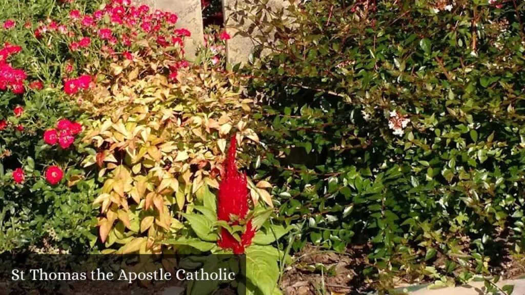 St Thomas The Apostle Catholic - Huntsville (Texas)