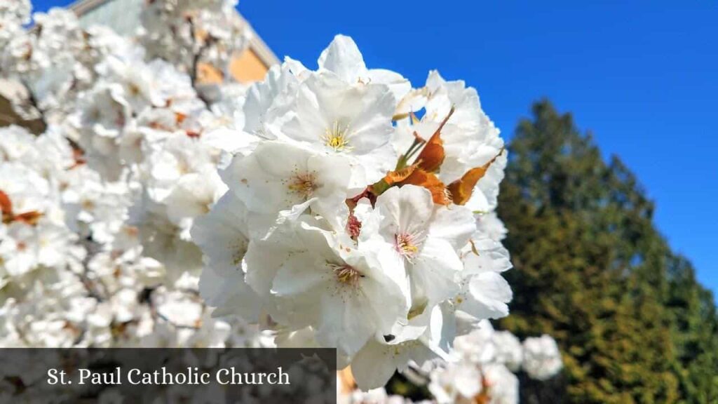 St. Paul Catholic Church - Seattle (Washington)